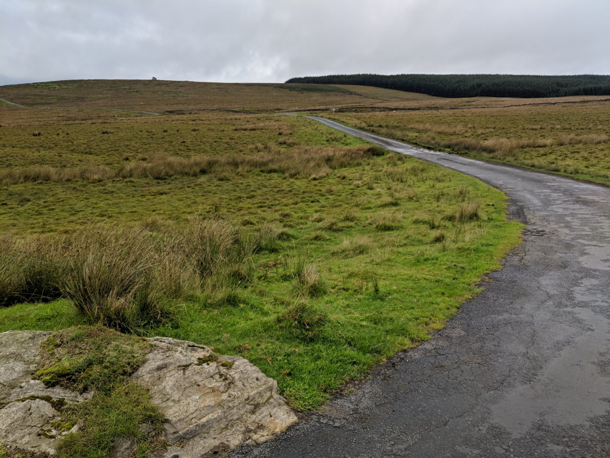Stage 10, Through the Forest